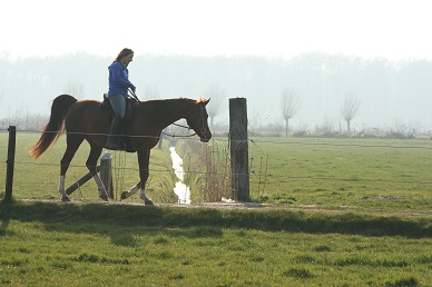 Horsemanship